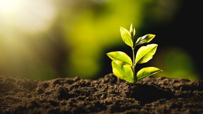 Aberto prazo para novas indicações das Transferências Especiais para&nbsp;2025